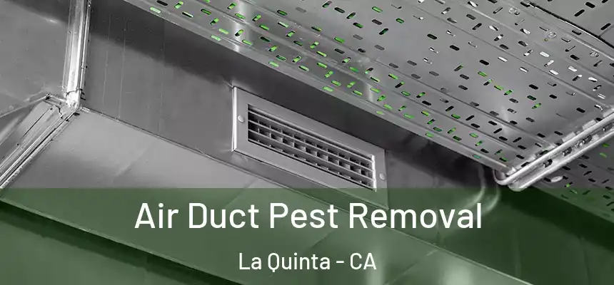 Air Duct Pest Removal La Quinta - CA