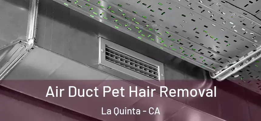 Air Duct Pet Hair Removal La Quinta - CA