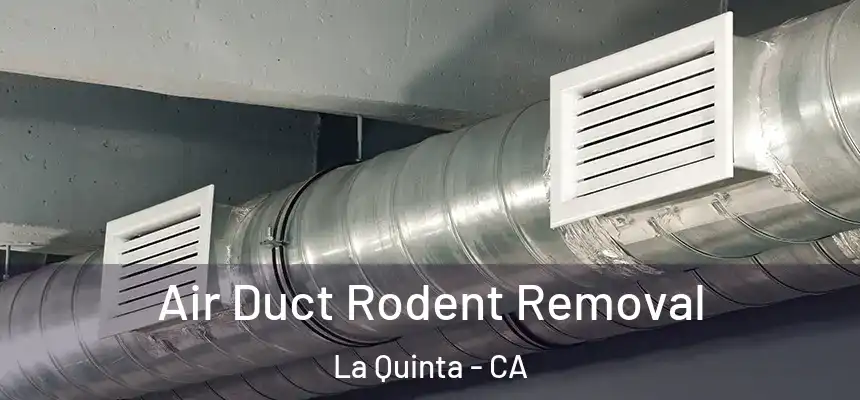 Air Duct Rodent Removal La Quinta - CA