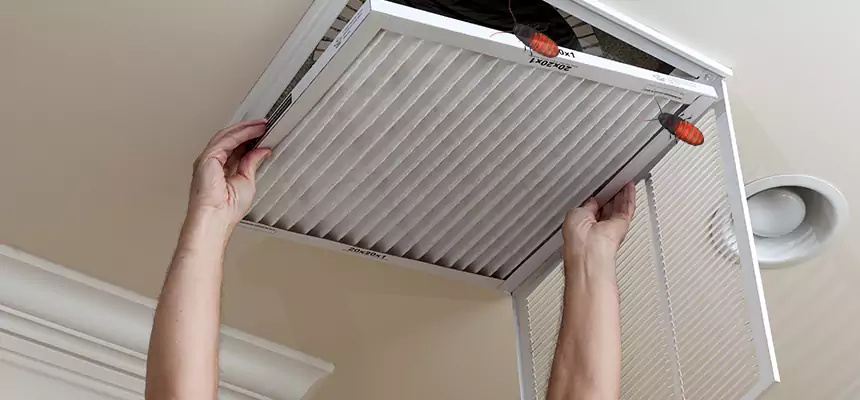 Preventive Cockroach-Proofing for Ducts in La Quinta