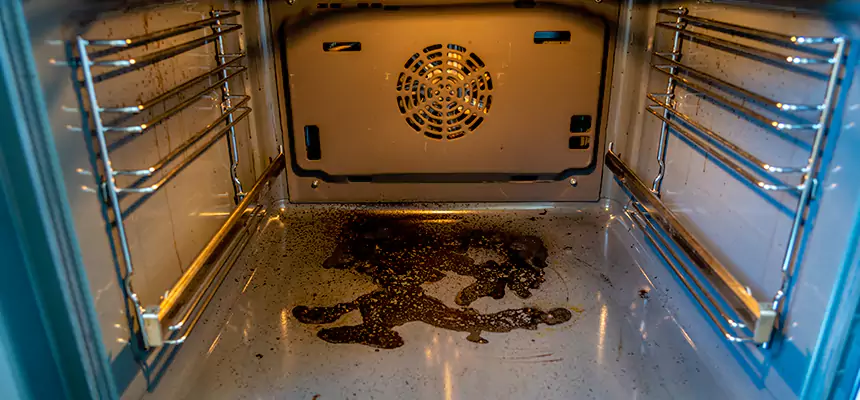 Our Dryer Vent Mold Cleaning Services in La Quinta, CA