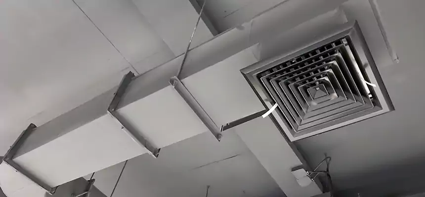 Our Pest Removal From Ducts Services in La Quinta, CA