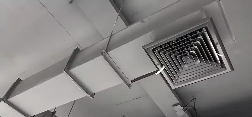 Our Rodent Droppings In Vents Services in La Quinta, CA