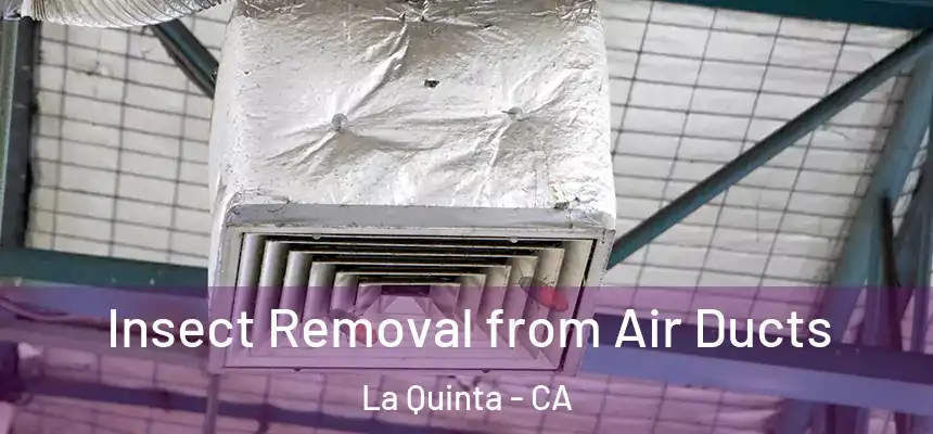 Insect Removal from Air Ducts La Quinta - CA