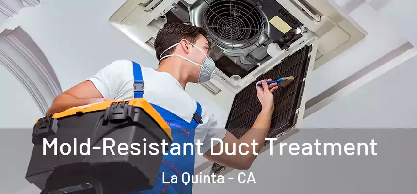 Mold-Resistant Duct Treatment La Quinta - CA