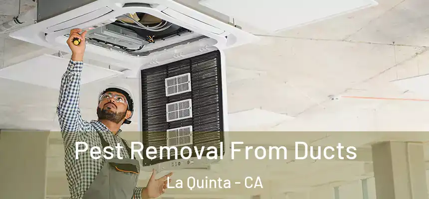 Pest Removal From Ducts La Quinta - CA
