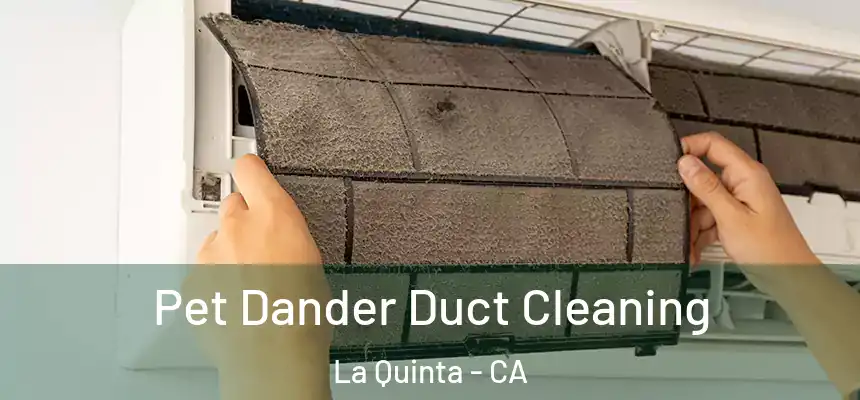  Pet Dander Duct Cleaning La Quinta - CA
