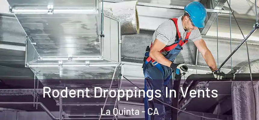 Rodent Droppings In Vents La Quinta - CA