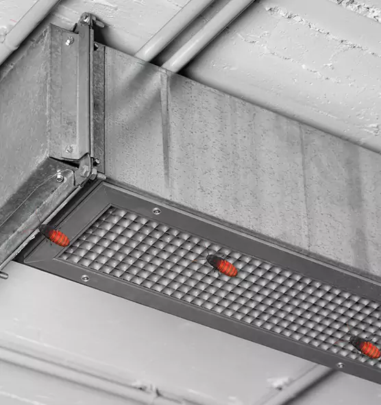About Air Duct Cockroach Removal in La Quinta, CA
