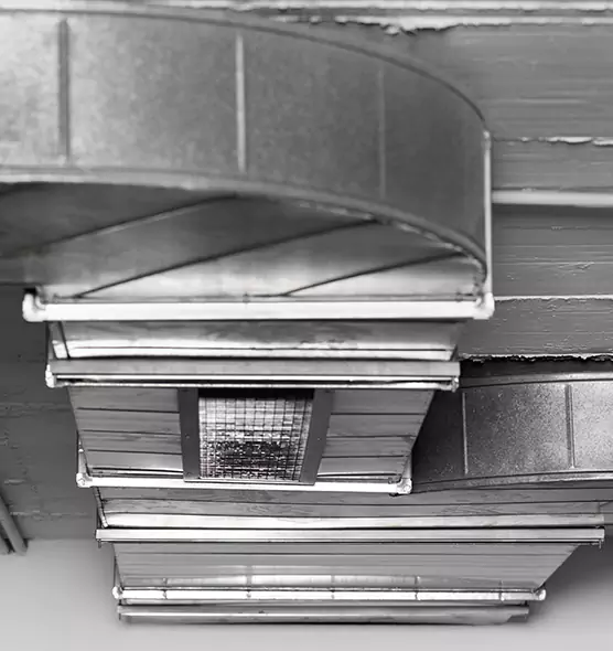 Professional Air Duct Pest Removal in La Quinta, CA