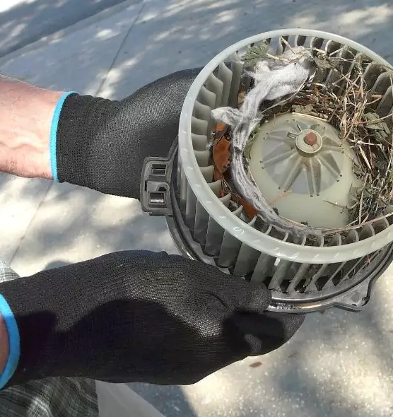 About Air Duct Rat Removal in La Quinta, CA