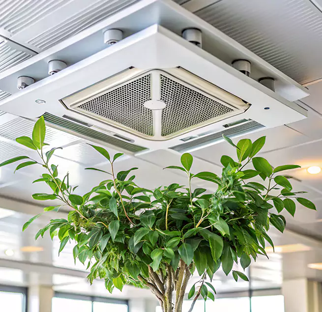 Why Homeowners & Businesses Trust Us in La Quinta, CA