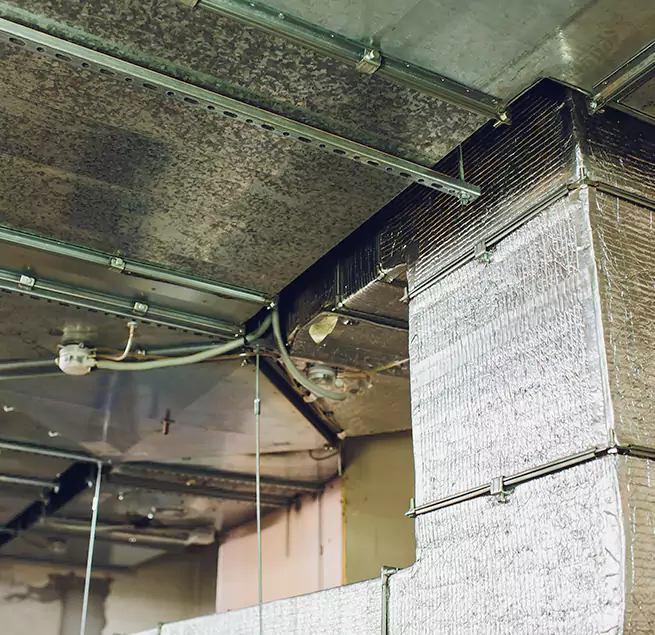 Why Homeowners & Businesses Trust Us in La Quinta, CA?